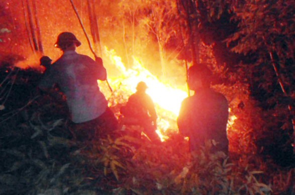 Người dân phối hợp với lực lượng chức năng khống chế đám cháy tại núi Mồng Gà, huyện Hương Sơn.