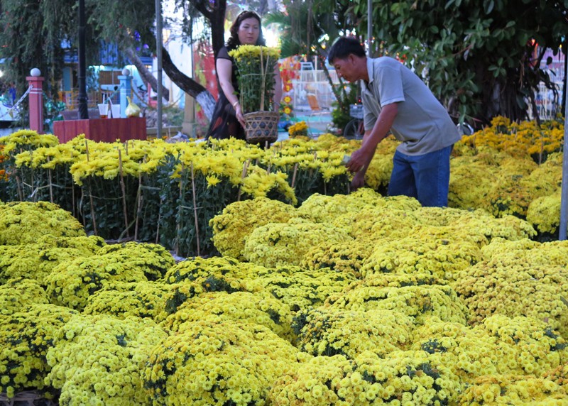 Hoa ở Cà Mau giảm giá chiều 30 Tết
