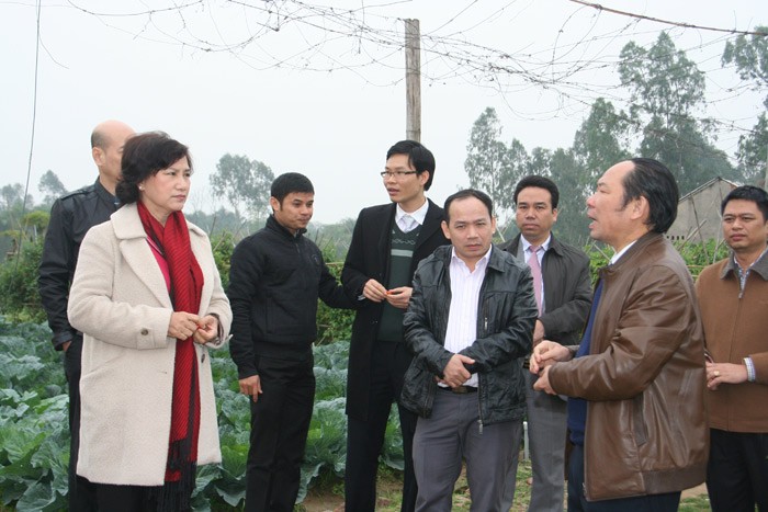 Phó Chủ tịch QH Nguyễn Thị Kim Ngân về quy trình sản xuất rau an toàn VietGAP ở Đông Anh.