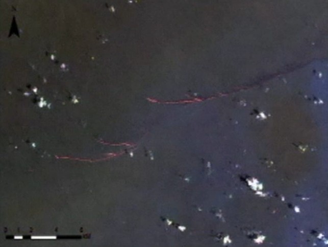 Hình ảnh vệ tinh Trung Quốc vừa cho thấy 3 vệt dầu gần khu vực nghi là nơi chiếc Boeing 777 mất tích. Ảnh: Reuters