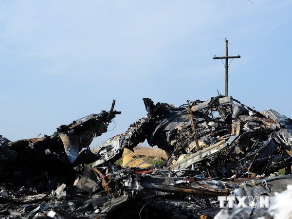 Những mảnh vỡ của máy bay MH17 gần làng Rassipnoe, miền đông Ukraine ngày 15/10. (Nguồn: AFP/TTXVN) 