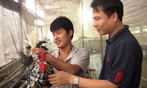Anh Trần Huy Hợi (bên trái), SN 1983, chủ trang trại gà quý phi tại Hưng Yên. Ảnh minh họa: VNE