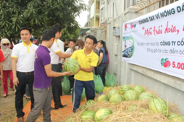 Người dân xứ Nghệ mua dưa ủng hộ nông dân Quảng Ngãi