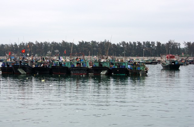 Hơn 8.000 tàu, thuyền, bè của Quảng Ninh đã neo đậu tại các nơi tránh trú bão.