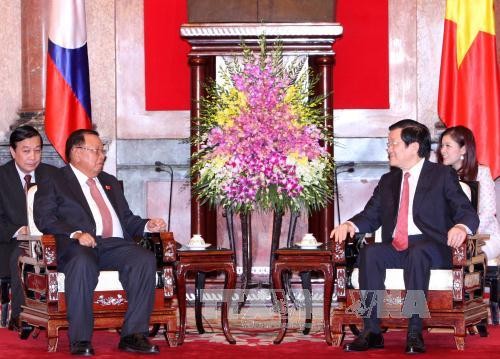 Chủ tịch nước Trương Tấn Sang tiếp Phó Chủ tịch nước CHDCND Lào. Ảnh: TTXVN