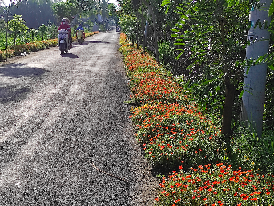 Những con đường rác được tô điểm sắc hoa ở Sài Gòn