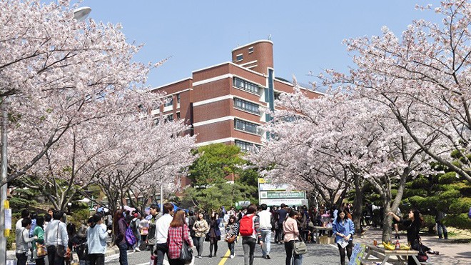 Học bổng đại học tại Hàn Quốc năm 2015