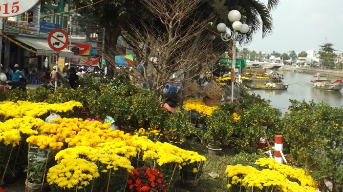 Chợ hoa ven sông nhộn nhịp cận Tết