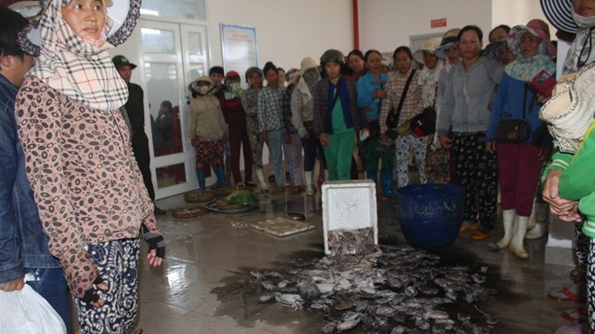 Ngày 29/6, bức xúc vì bị di dời lên chợ An Sơn, các tiểu thương đã mang cá mực ế ẩm đổ ngay trước phòng BQL chợ Tam Kỳ để phản đối. 
