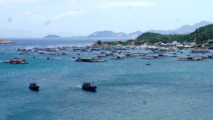 Các nhà bè xen lẫn bè nuôi thủy sản cạnh đảo Bình Hưng