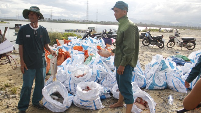 Nông dân trắng tay vì cá sắp tới ngày thu bỗng chết sạch. Ảnh: Thanh Trần.