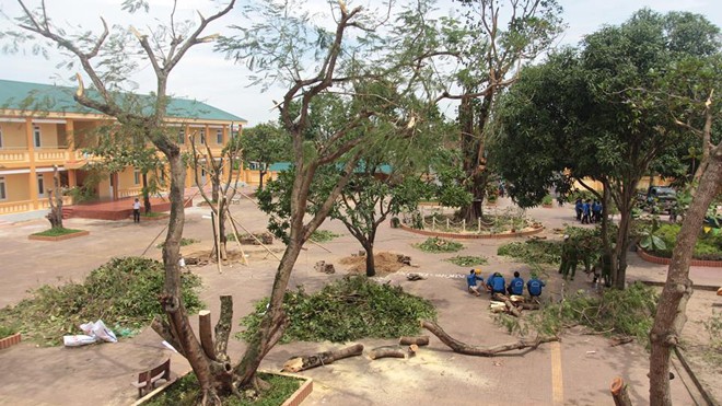 Trường Tiểu học Nghi Hải bị thiệt hại nặng nề sau bão.
