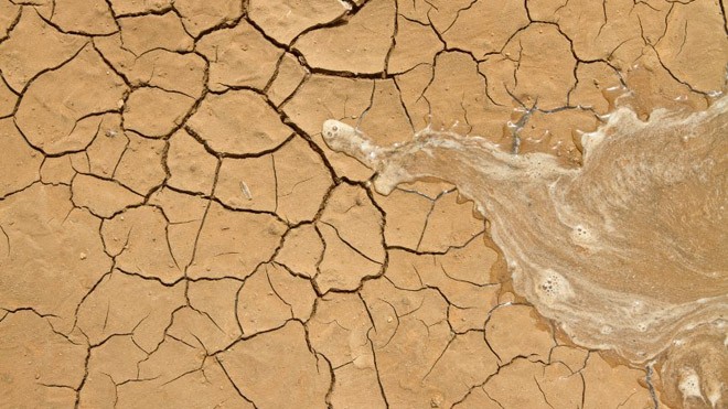 Xanh hoá sa mạc nhờ siêu công nghệ chế tạo nước và canh tác khô