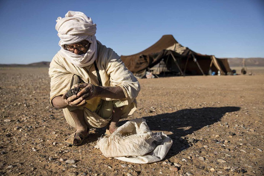 Một thợ săn thiên thạch tại Morocco đang kiểm tra mẫu vật thu được. Ảnh: AFP.