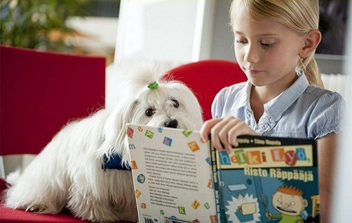 Dịch vụ đọc sách cho chó nghe ở Phần Lan đang ngày càng phát triển.