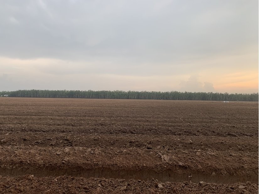 Khu đất Dự án Khu sản xuất nông nghiệp có quy mô 650 ha tại xã Phú Mỹ Hưng của Công ty TNHH Nông nghiệp Trung Thuỷ Agri.