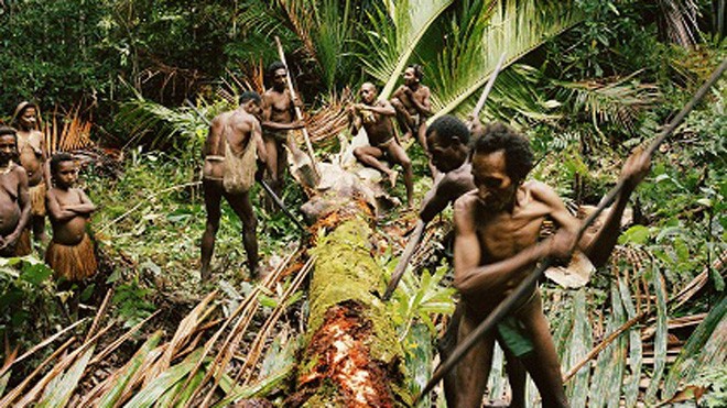 Bộ tộc nào ở Indonesia từng có tục săn đầu người và ăn thịt người?