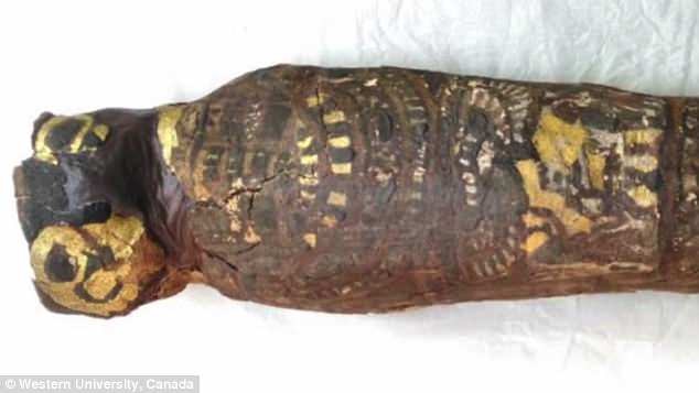 Sự thật về xác ướp ở Ai Câp có hình dạng kỳ lạ