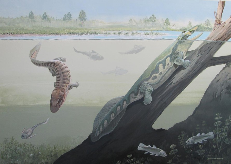 Tutusius và Umzantsia có thể là hai loài động vật đầu tiên sống trên cạn.