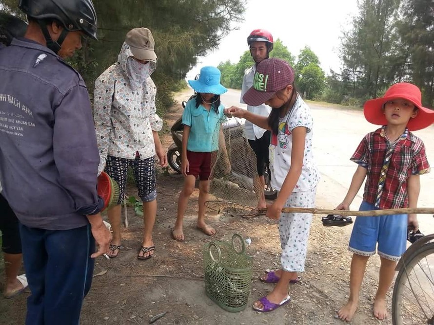Người dân Lộc Vĩnh (huyện Phú Lộc, TT-Huế) đổ xô đi vớt cá biển dạt vào bờ nhưng không khỏi hoang mang, lo lắng trước hiện tượng lạ này. 