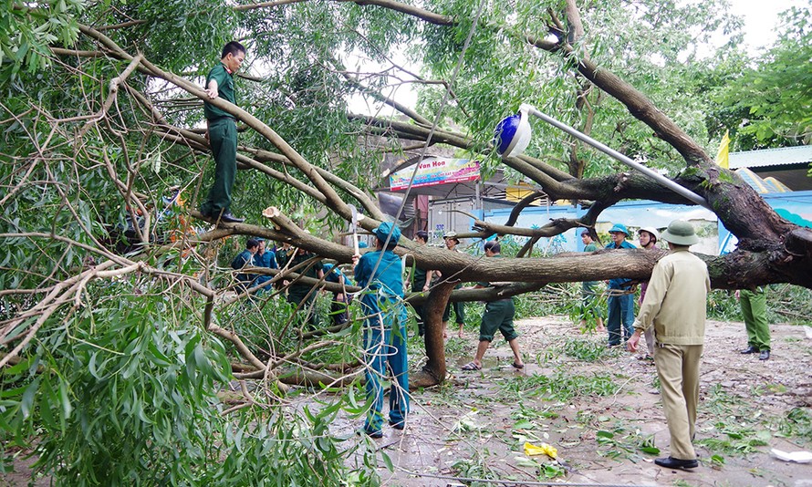 Giúp nhân dân thành phố Vinh thu dọn cây cối gãy đổ sau bão số 2.