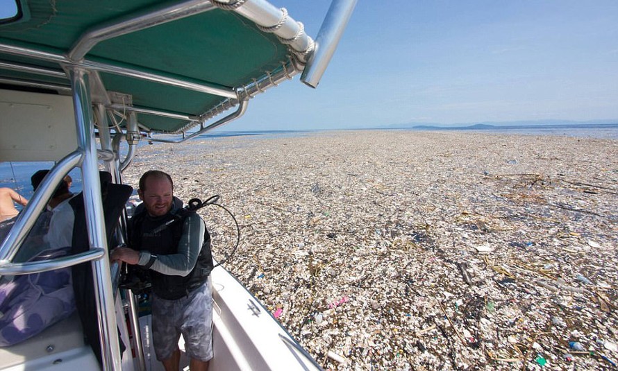 Thảm họa núi rác chất cao như đảo ở bãi biển đẹp nhất thế giới