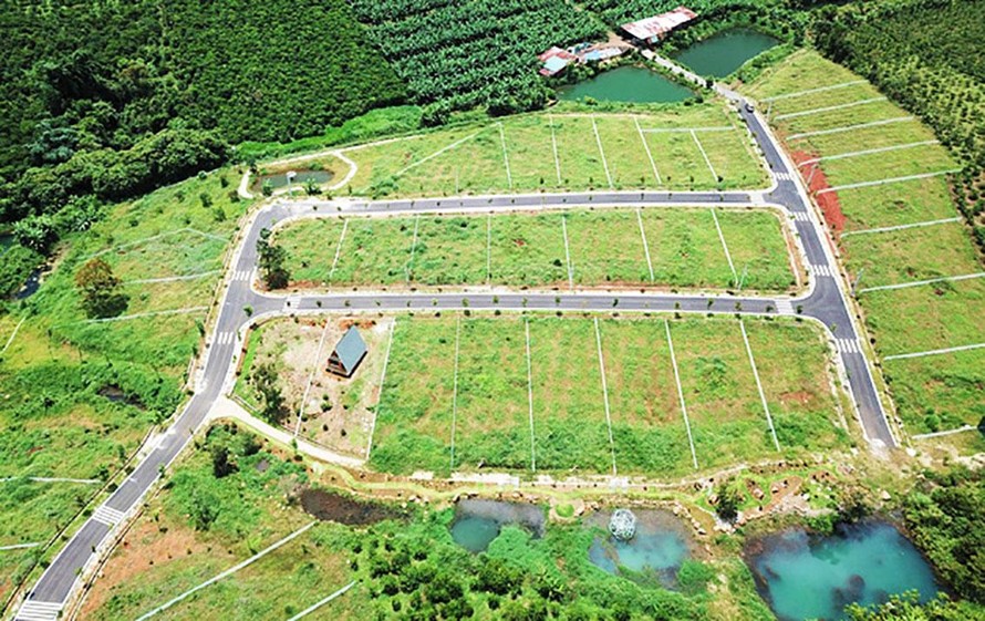 Phân lô đồi chè rộng lớn ở Bảo Lộc
