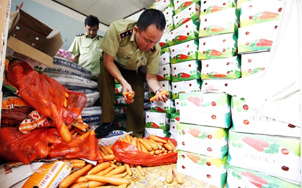 Lần đầu tiên Quản lý thị trường phát hiện số lượng lớn cà rốt Trung Quốc nhập lậu vào Lâm Đồng