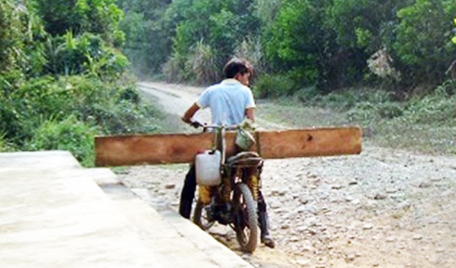 Các đối tượng thường dùng xe máy "độ chế", không biển số để chở gỗ lậu