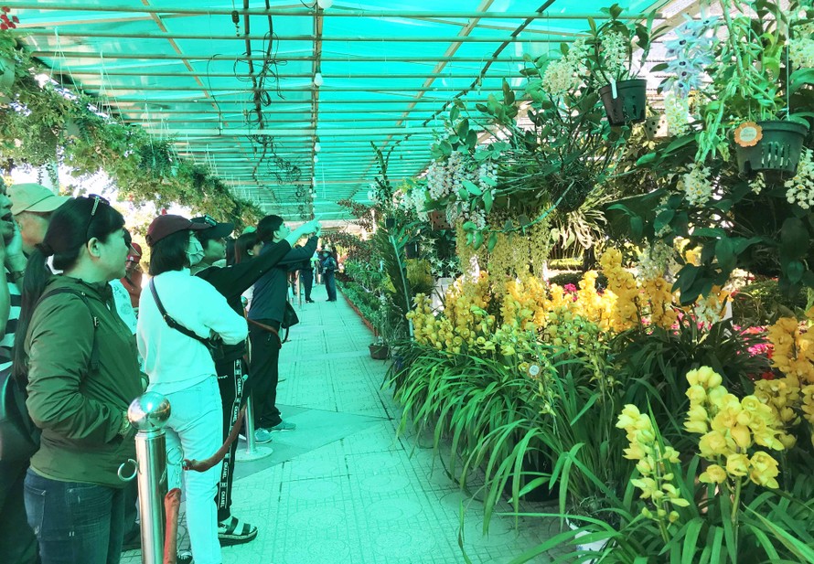 Đông đảo du khách tham quan khu vực triển lãm hoa lan