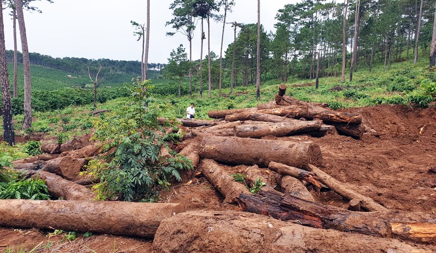 Khai quật thông bị chôn lấp dưới hố sâu tại rừng Lộc Phú