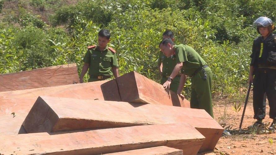 Hiện trường vụ phá rừng tại lâm phần của Công ty TNHH MTV Lâm nghiệp Ea Ka