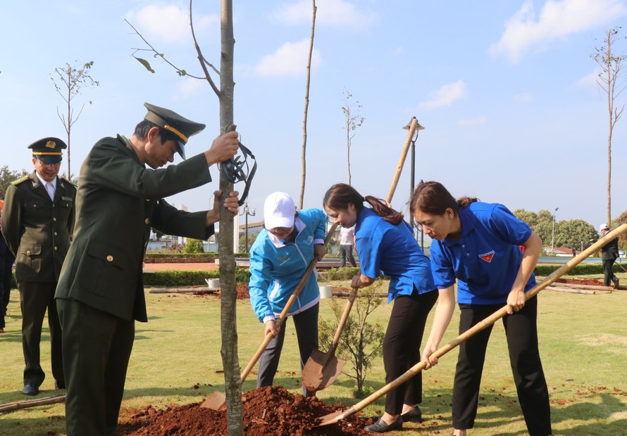 Tuổi trẻ TP Buôn Ma Thuột trồng cây xanh Xuân Canh Tý 2020