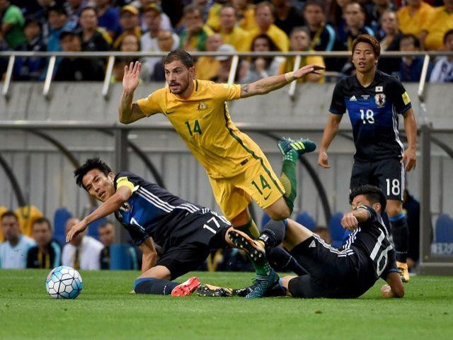 Nhận định, dự đoán Nhật Bản vs Australia 17h14 ngày 12/10: Tỉnh giấc đi, Samurai xanh!