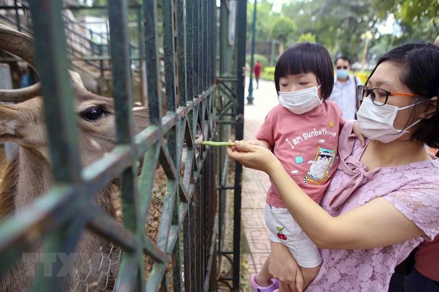 Vườn thú Hà Nội vắng vẻ, một số khu vui chơi phủ bạt