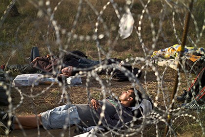 Người tị nạn trên biên giới Hungary và Croatia. Ảnh: AP