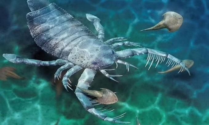 Phát hiện hóa thạch bọ cạp biển khổng lồ ở Trung Quốc