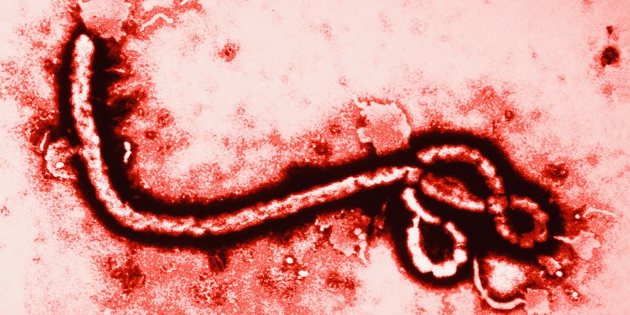 [ĐỒ HỌA] Báo động đỏ toàn cầu đại dịch Ebola