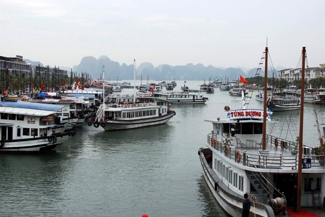 Từ đảo cá hoang sơ, nay cảng Tuần Châu tấp nập du thuyền đón trả khách