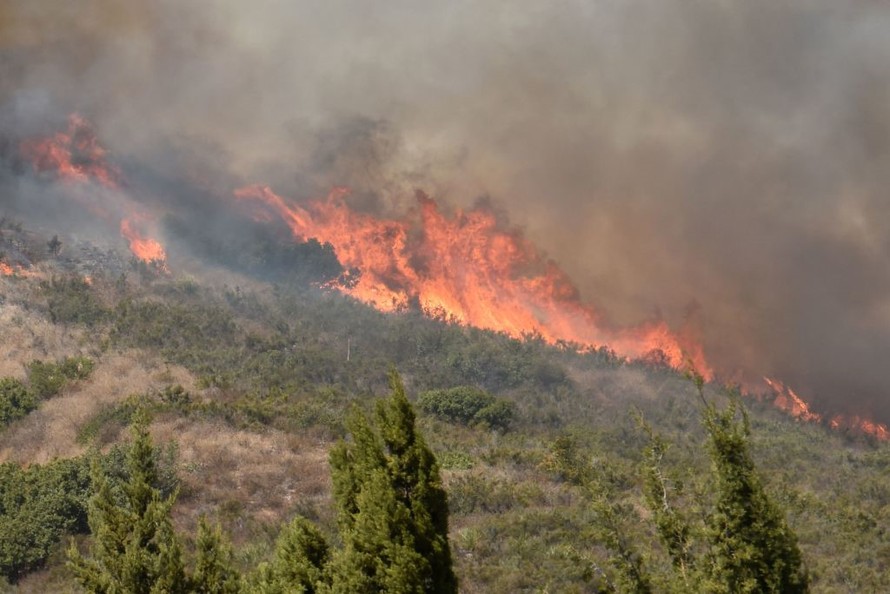 Cháy rừng khủng khiếp ở California, ít nhất 10 người chết