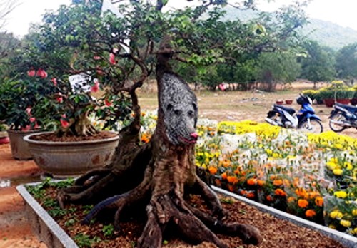 Cây khế có hình dáng chú chó được trưng bày ở chợ hoa xuân Mậu Tuất. Ảnh: Phú Quốc.