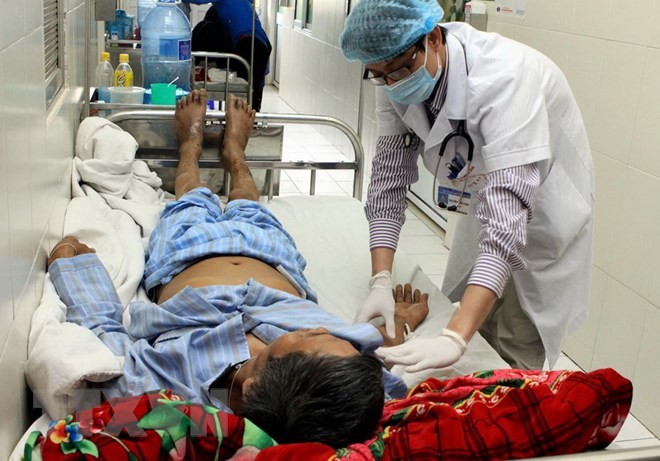 Một bệnh nhân bị nhiễm khuẩn liên cầu lợn được điều trị tại Bệnh viện bệnh Nhiệt đới Trung ương do ăn lòng lợn tiết canh. (Ảnh minh họa: Dương Ngọc/TTXVN) 
