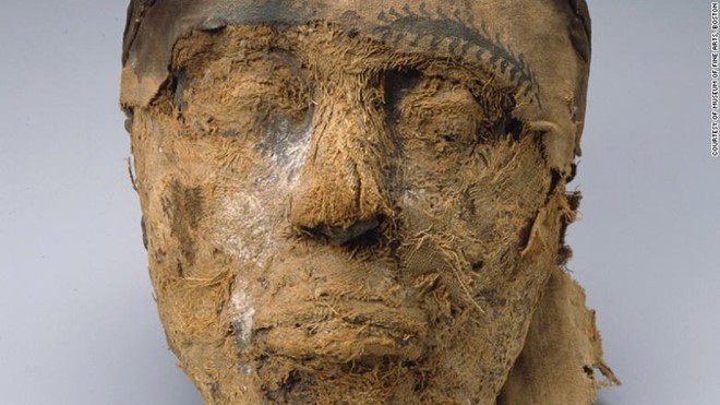 Chiếc đầu xác ướp Ai Cập 4.000 năm tuổi. Ảnh: CNN/Bảo tàng Nghệ thuật Boston.