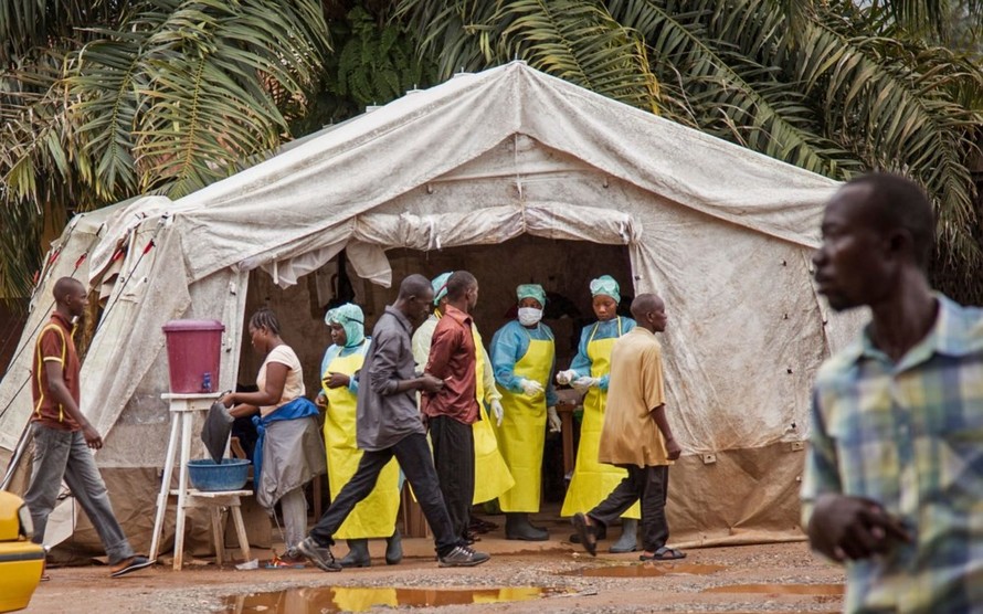 Bộ Y tế họp khẩn, xác định nguy cơ dịch bệnh Ebola vào Việt Nam