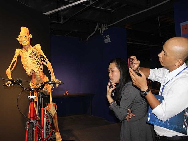 Một trong những xác người được trưng bày tại triển lãm "Sự bí ẩn đặc biệt của cơ thể người". Ảnh: PLO.