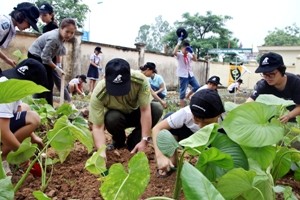 Học sinh Hà Nội tham gia trồng cây thảo dược thay mật gấu