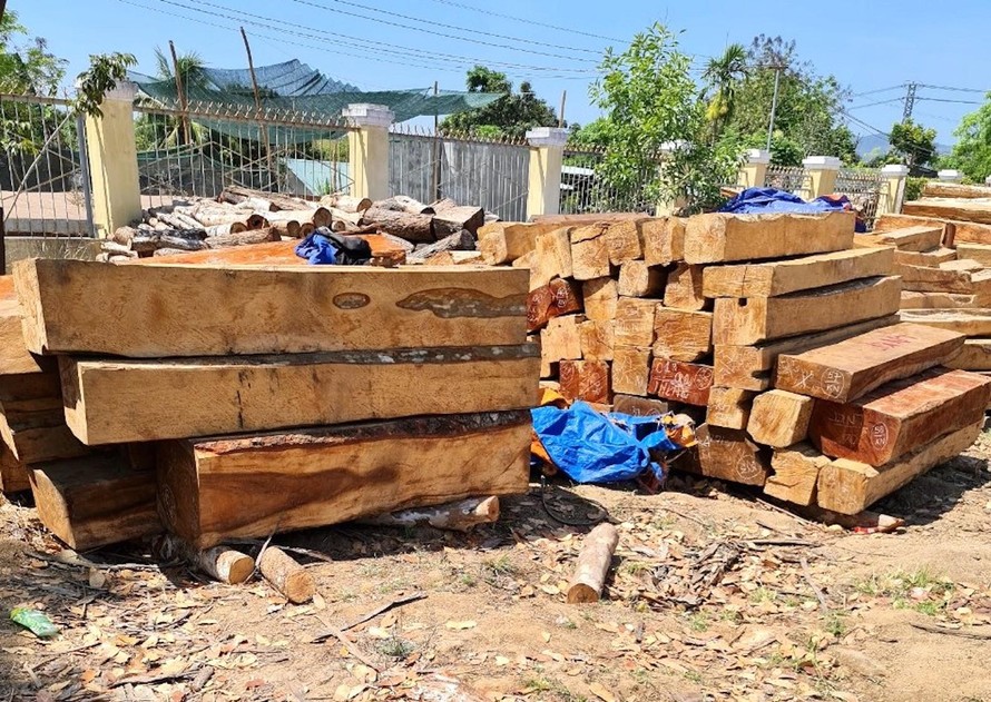 Những lóng gỗ vi phạm tại trụ sở Hạt Kiểm lâm huyện Krông Pa