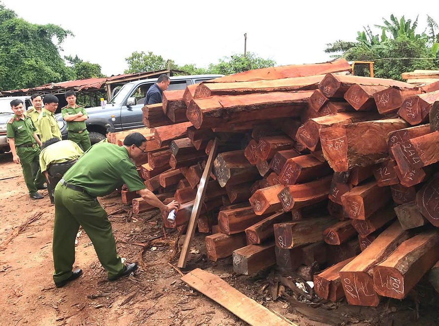 Số gỗ trái phép tại xưởng gỗ của Doanh nghiệp tư nhân Hùng Ny