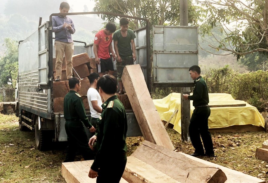 Lực lượng chức năng lập biên bản xe tải chở gỗ lậu