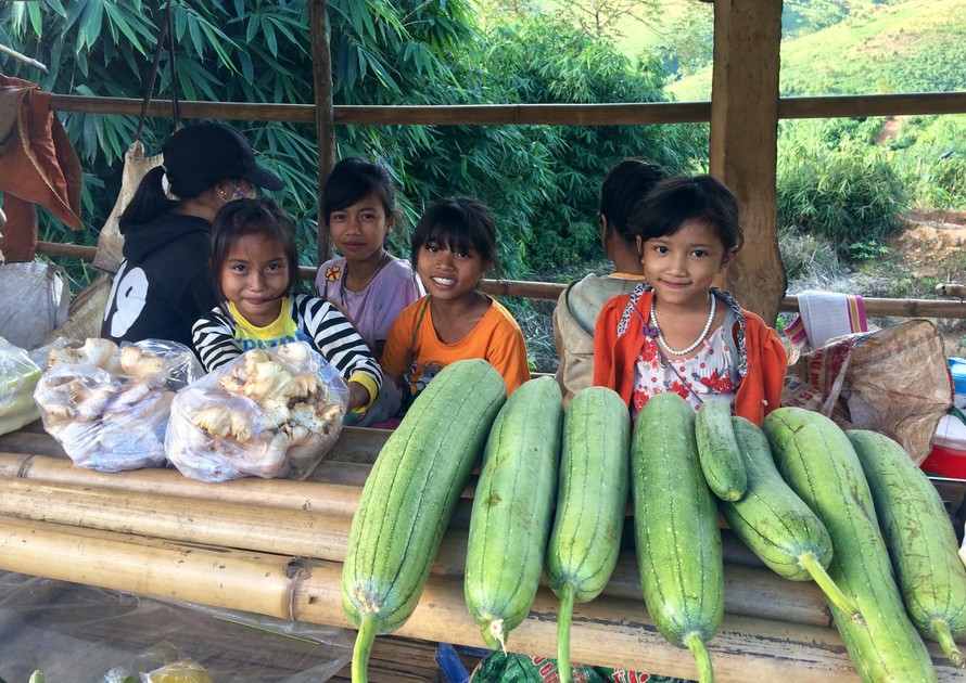 Thời điểm 10h sáng các em nhỏ ở các làng thuộc xã Đắk Trăm bày những sản vật lấy từ rừng ra bán